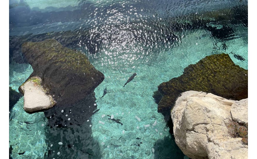 POURQUOI PRIVILEGIER LA SLOW FASHION